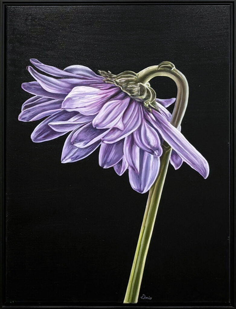 "Gentle Rising" by Doris Clark. Oil painting of a flower with a black background.